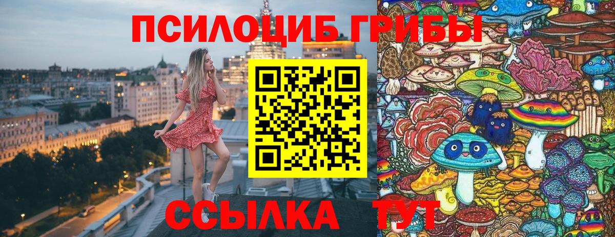 Галлюциногенные грибы Cubensis  Вход с VPN  Свободный 