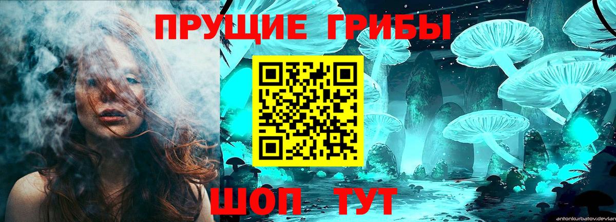 Псилоцибиновые грибы Psilocybine cubensis Свободный